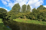 Fly Fishing